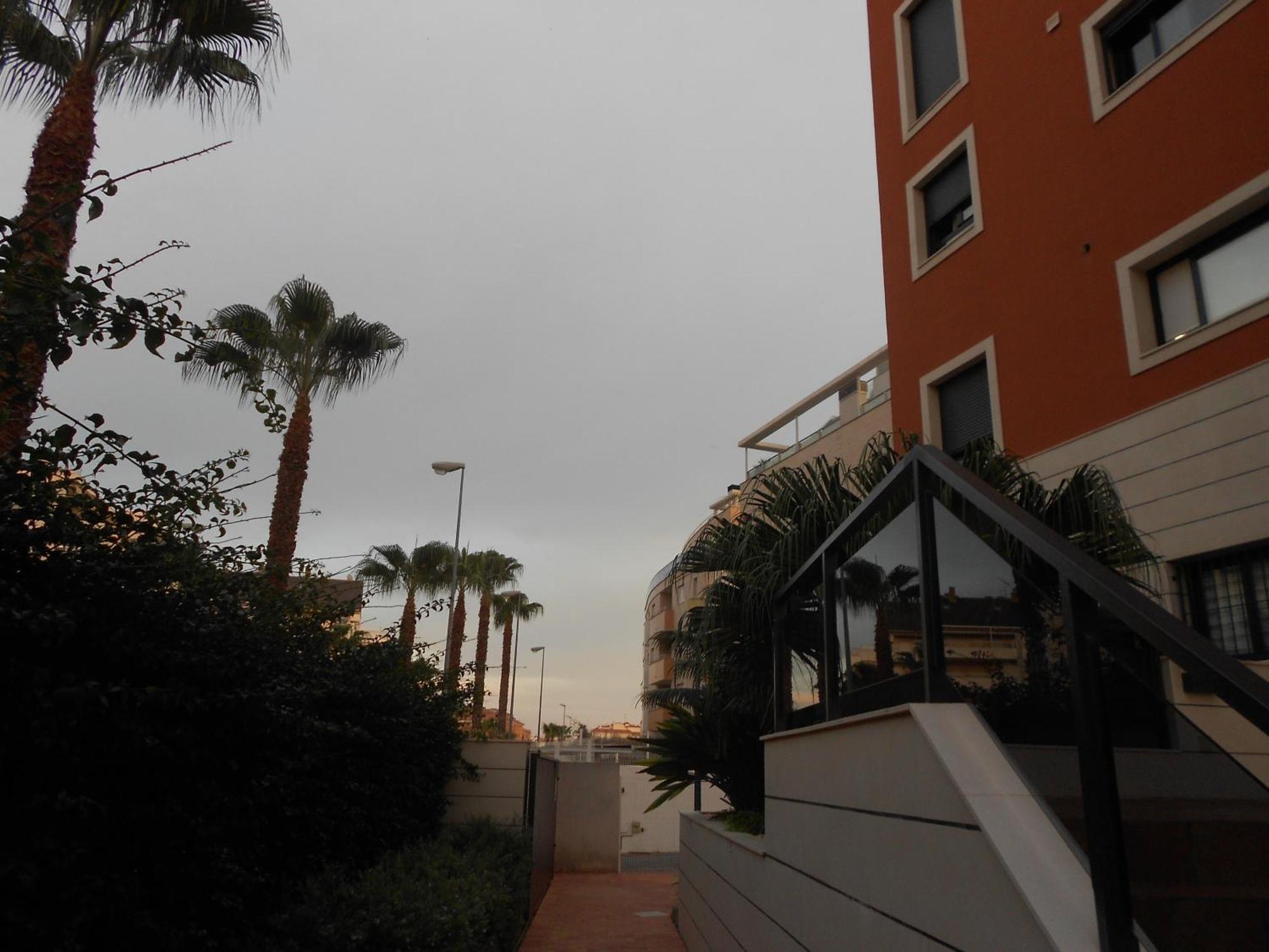 Jardinas De Les Marinas Denia Quarto foto